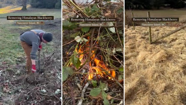 "You give me hope and motivation."