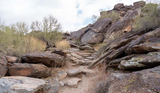 "That's a lot of resources."