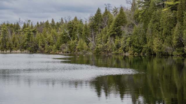 The risk could spread from the lake in multiple ways.