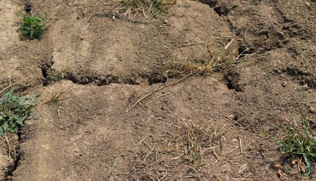 This adds new pressure to already strained budgets.