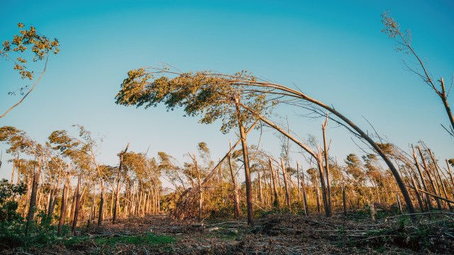 "We have to get this stuff out of the way."