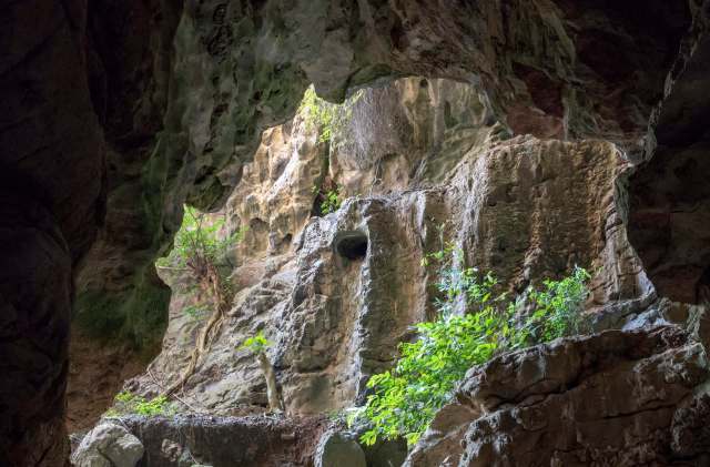 Researchers face a race against time to document the species.