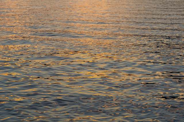 "This project shows how damming a lake, building roads, or maintaining forests can have long-lasting effects on ecosystems."