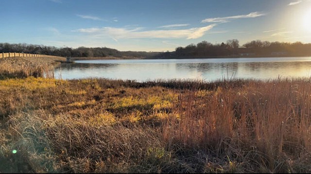 "They're so strong, they're so majestic, and they're so powerful."