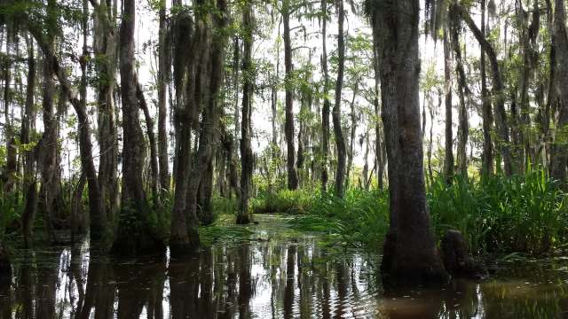 With the project abruptly canceled, the state could lose out on over $1.5 billion in unspent funding from the oil spill settlement.