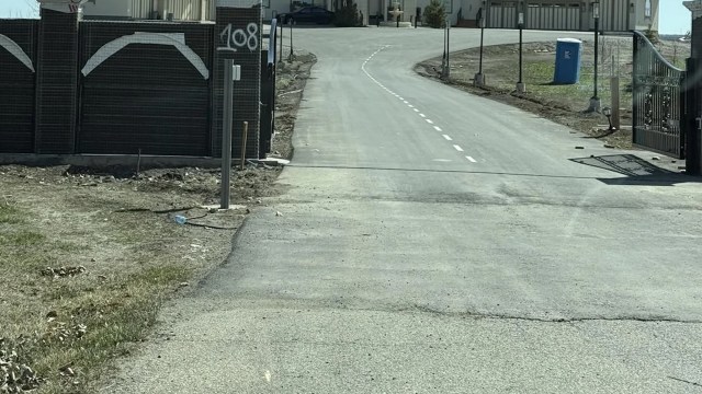 "All that house and zero trees."