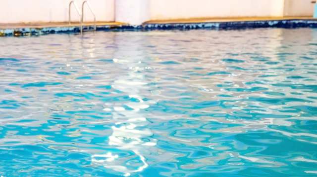 "We are against any violence, but animal abuse in particular is a reflection of what could later escalate in terms of violence."