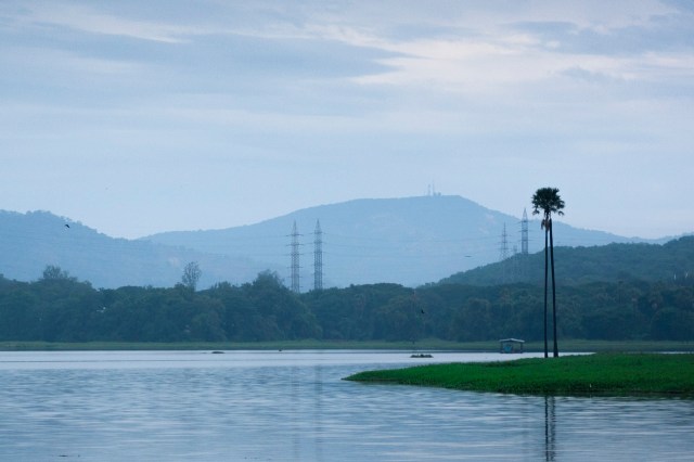 Revived lakes allowed diverse ecosystems to thrive again.