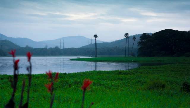 "No water cut has been proposed."