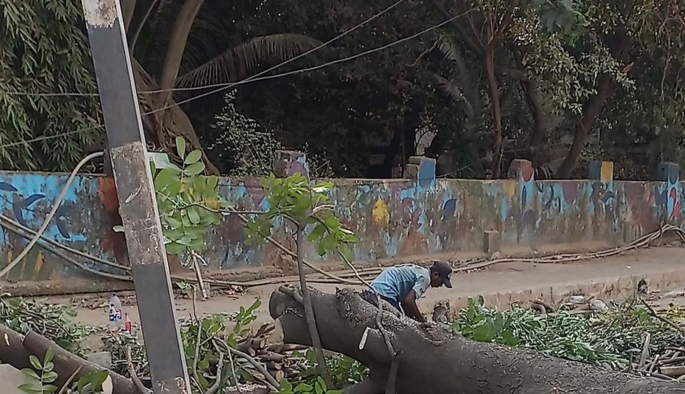 "Who needs it, right?"