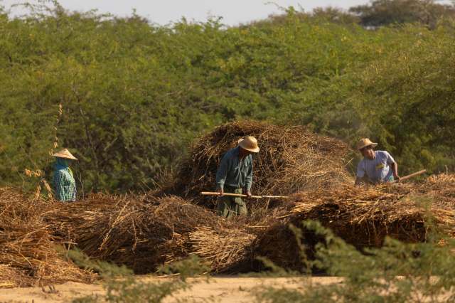 "It’s tough being a farmer. You only eat what you earn."