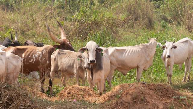 Education will play a crucial role in mitigating the consequences.