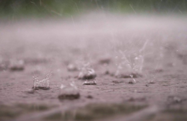 At the height of the crisis, a staggering 86% of the state was gripped by extreme drought conditions.