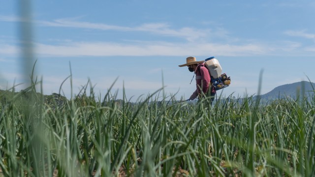 "Will doom us to decades or even hundreds of years more of exposure."