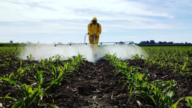 It's part of a larger trend.