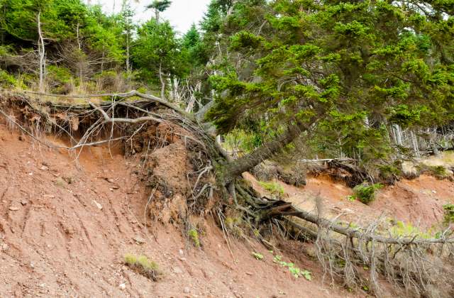 "Such death tolls are usually seen in August."