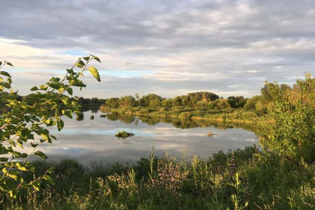 "Every hectare protected here means more space for jaguars to roam."