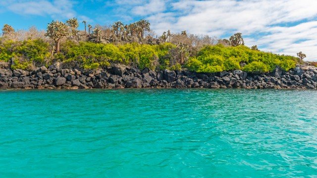 "Even the most vulnerable species can persist if we protect the right habitats."