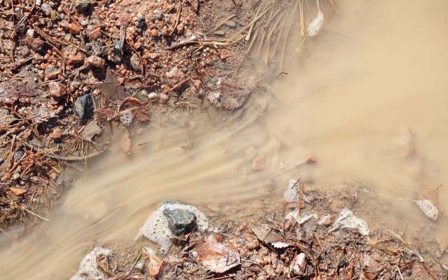 “I think they believe that they are above the law!”