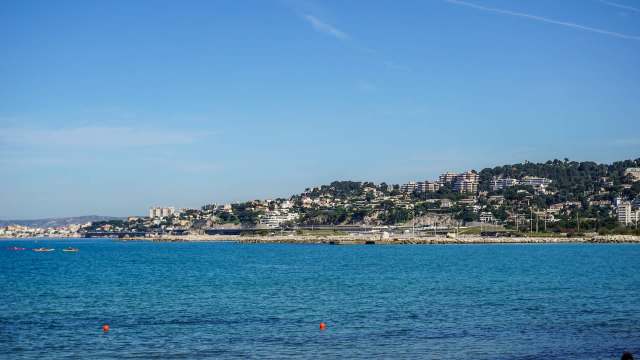 "What a performance!"