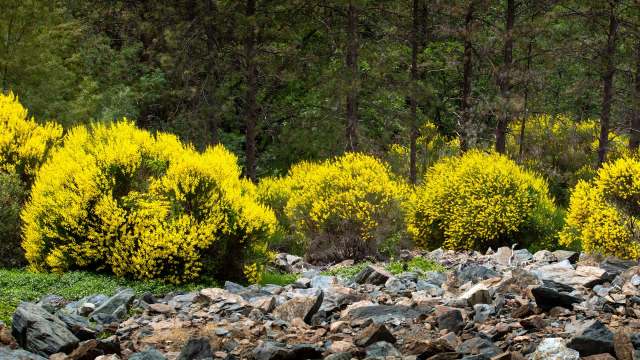 "It also just feels good to work with people in the community."