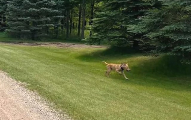 The post quickly gained traction.