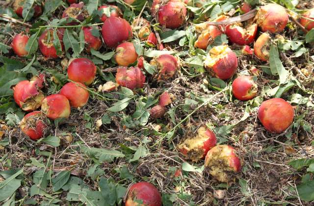 "We have to get ready for the changes that are coming."