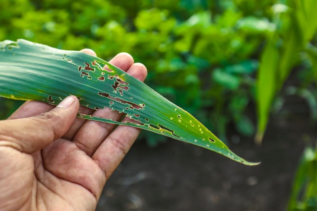 "We received an overwhelming number of reports."