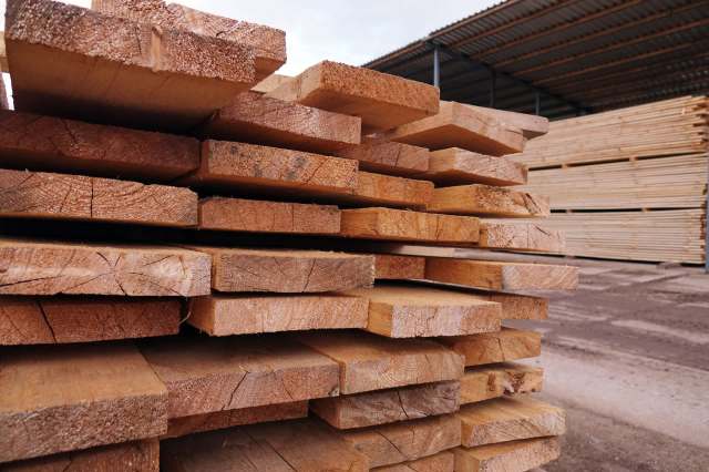 "An extraordinary breakthrough that exalts the genius of the natural world."