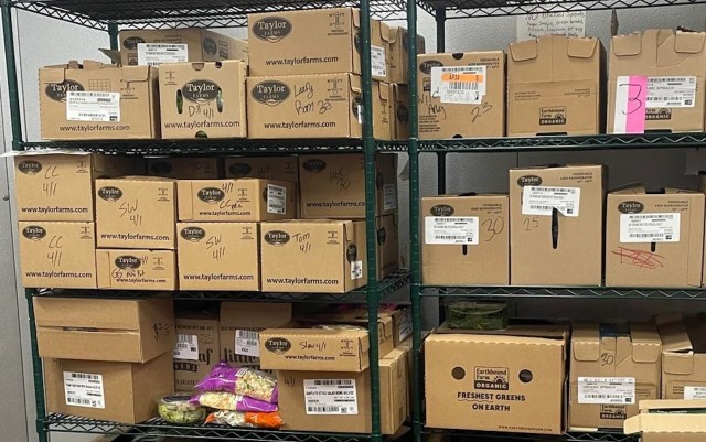 "I don't understand."