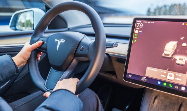 "Tesla is splashing around in the kiddie pool."