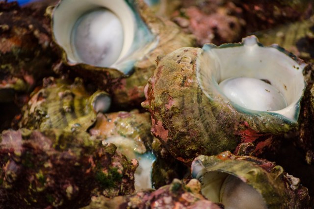 The findings confirmed previously held suspicions.