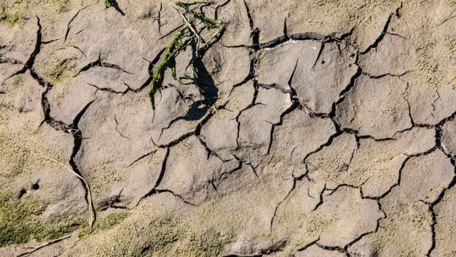 Officials are working closely with water companies.