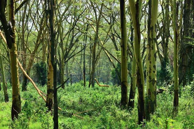 "Community vigilance has been critical to these efforts."