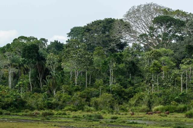 The crime can cause significant and far-reaching damage.