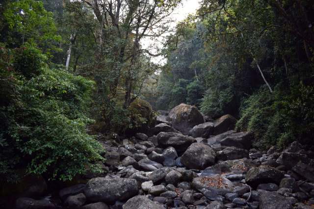 There are many potential solutions to these ongoing problems.