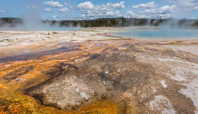 "I am sure she experienced the same sensation."