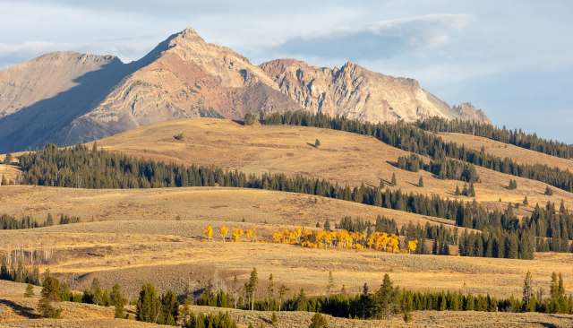 "They should all be arrested immediately."