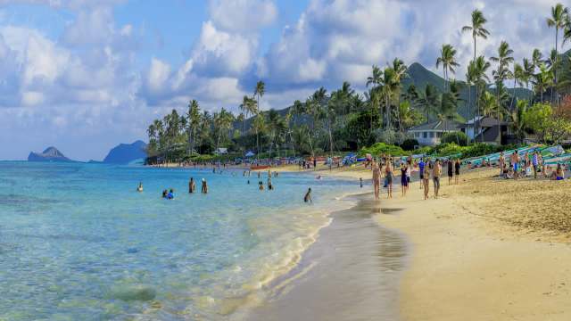 Hawai'i isn't the only state confronting the disease.