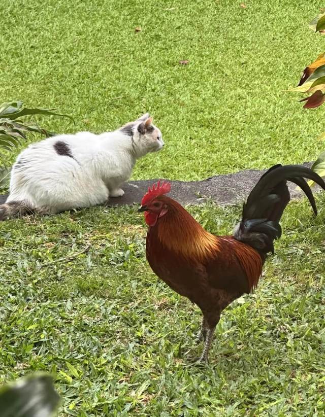 "Some people have no consideration for life whatsoever."