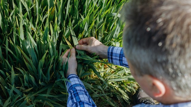 "If the climate warms by 3 degrees, that's basically like everyone on the planet giving up breakfast."