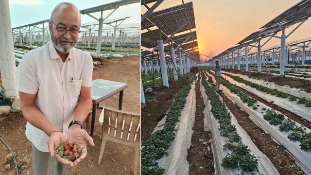 "Represents an opportunity."