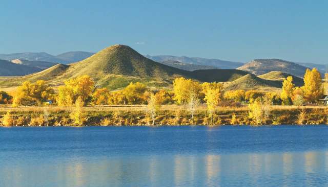 "When I heard about this bird, I was both shocked and excited."