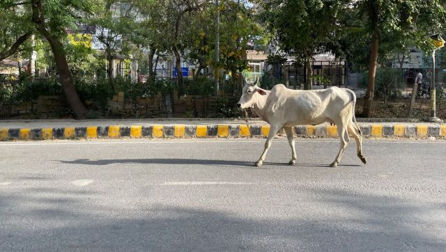 And this is only the beginning.