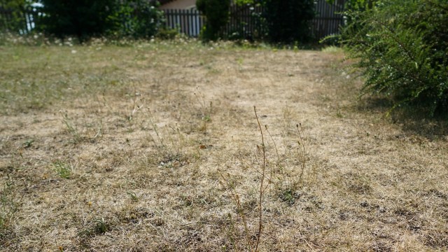 "It makes me feel horrible."