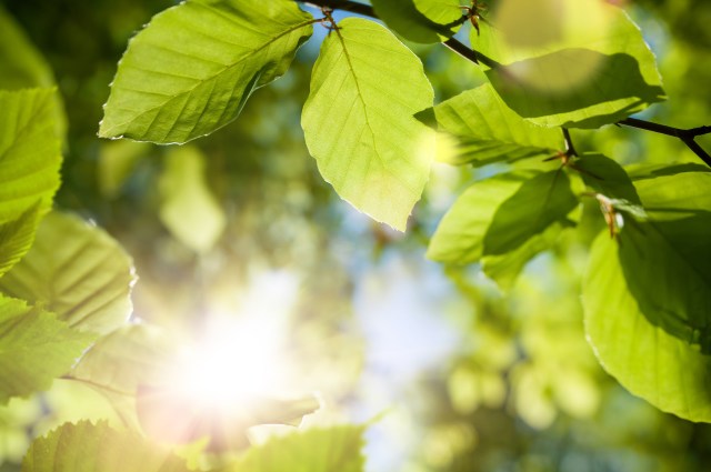 "Signifies a decisive step toward commercial deployment."