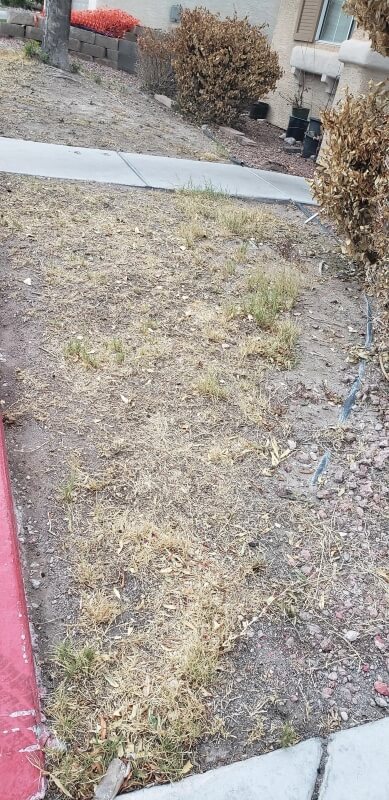 Redditors chimed in with alternative ideas.