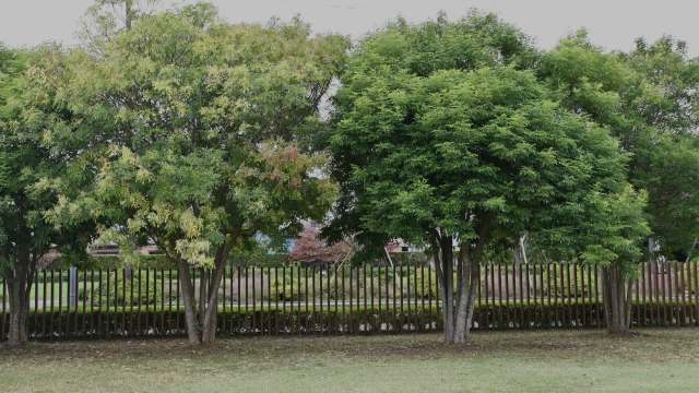 "We are watching evolution happen."