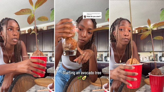 "I’m going to try it."