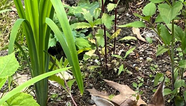 "Those are beautiful photos."